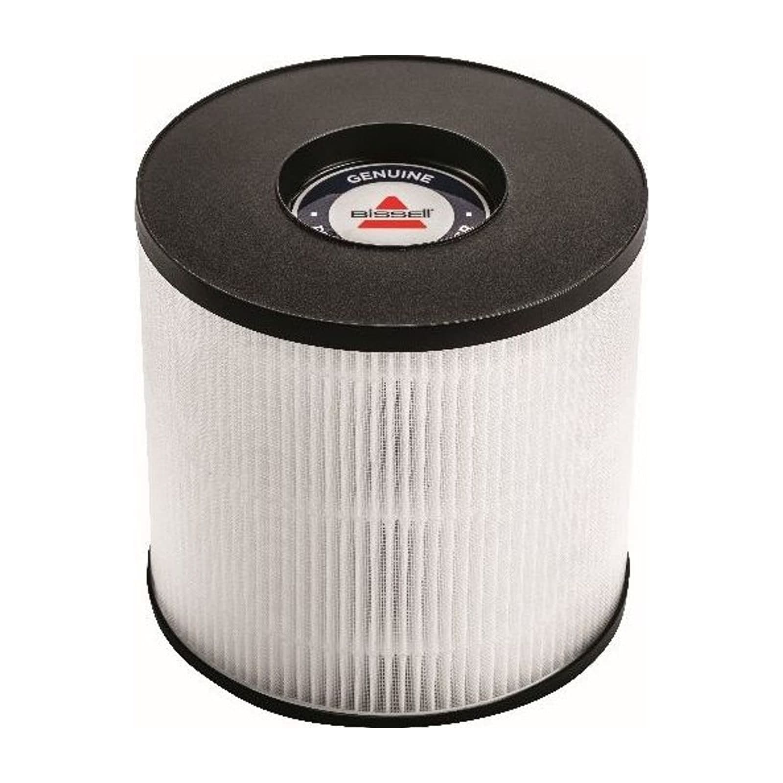 Bissell HEPA and Carbon Replacement Filter 3389 for MYair HUB