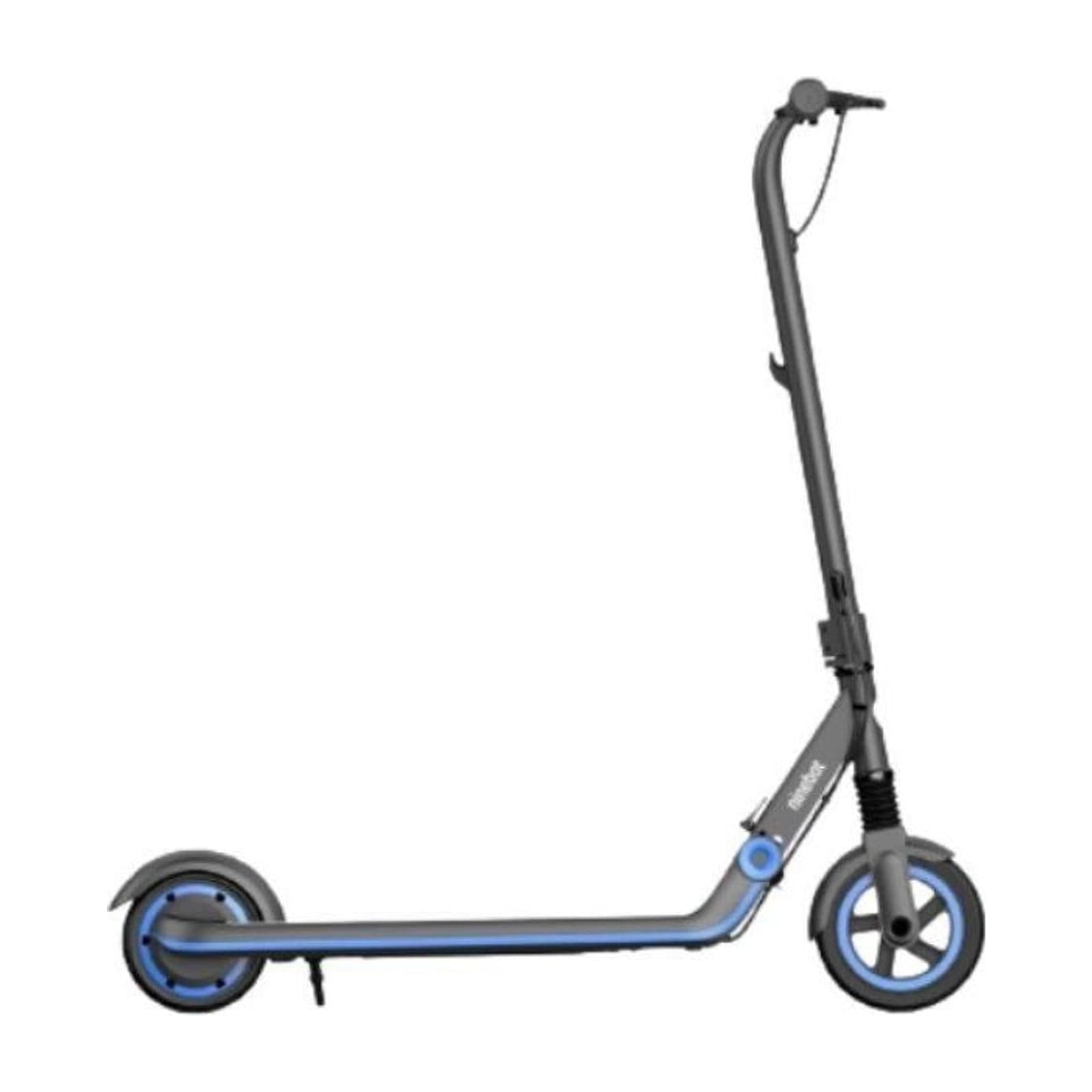 Segway Ninebot eKickScooter ZING E10