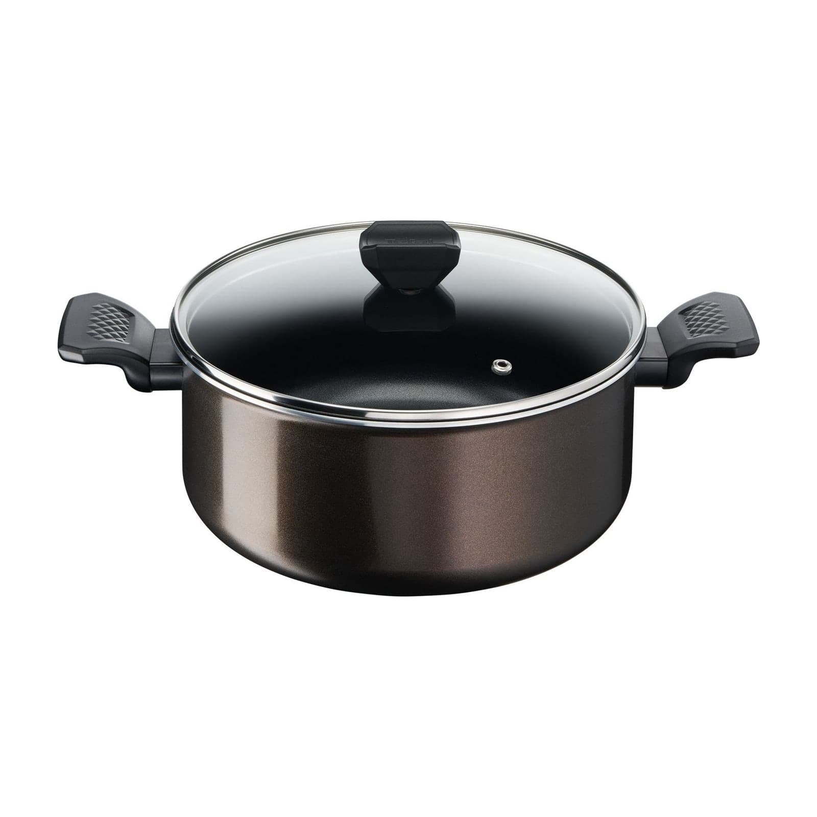 Tefal Easy Cook & Clean B5544602 Stewpot with Glass Lid, 24 cm