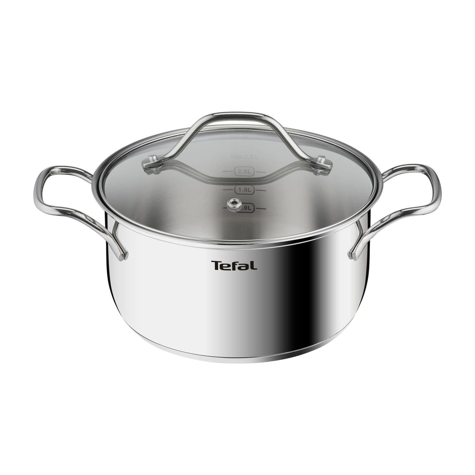 Tefal Intuition B8644474 Stainless Steel Stewpot with Lid, 20 cm, 2.9 L