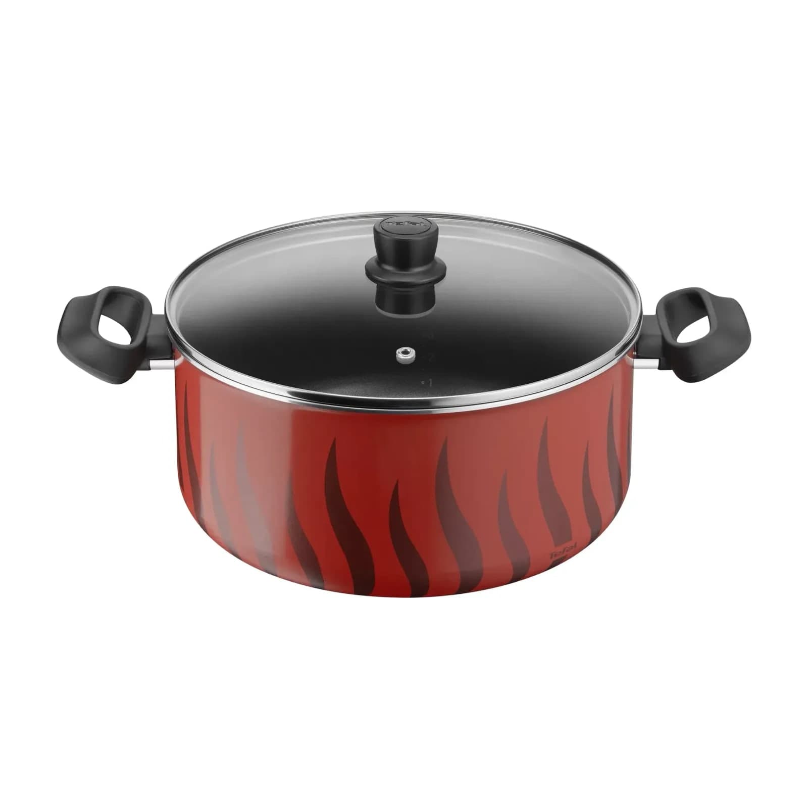 Tefal Tempo C3045385 Stewpot with Glass Lid, 28 cm