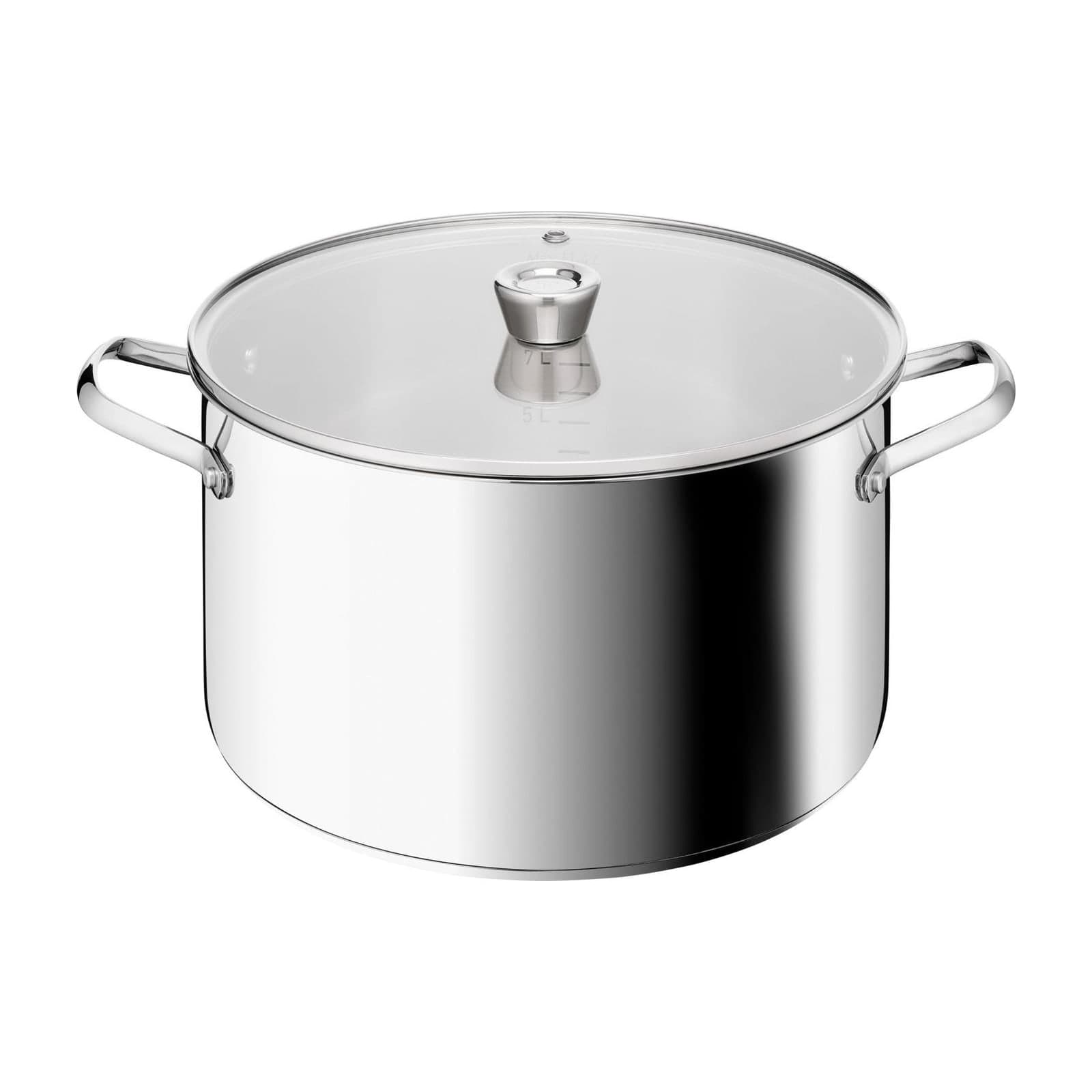 Tefal Emotion+ E3366955 Stockpot with Lid, 30 cm, Stainless Steel